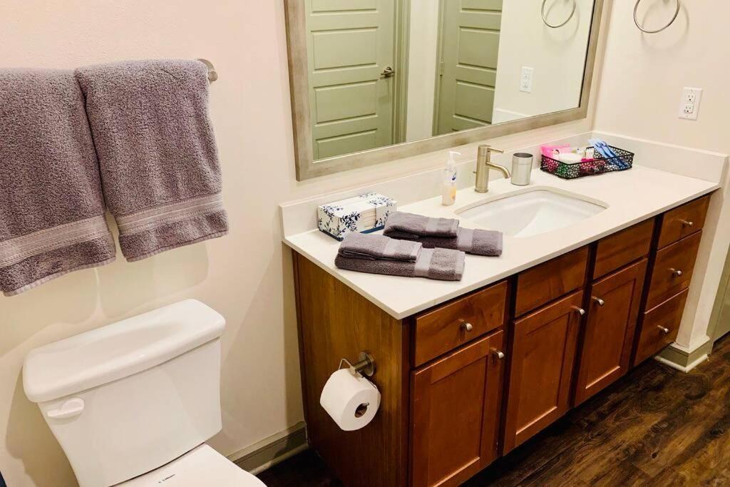 New Apart Downtown - 5Min Stadium/Parks/Museum Apartment Houston Luaran gambar